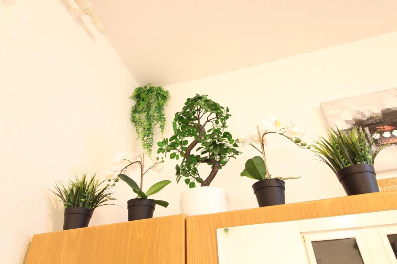 Downtown Apartments Ulm - Im Herzen Von Ulm & Komfortable Boxspringbetten 外观 照片